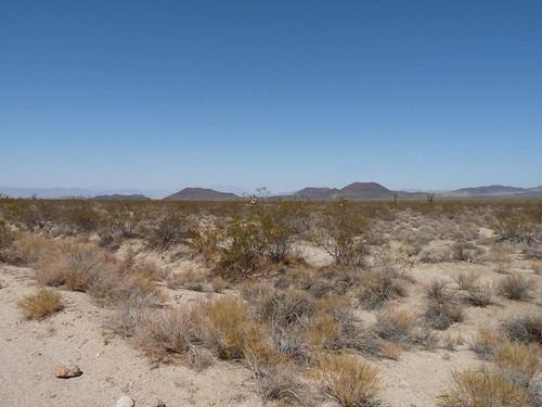 Cinder cones in the Mojave Desert