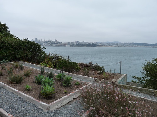 The inmates’ garden on Alcatraz