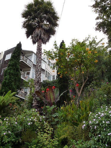The Gardens around Filbert Street Steps