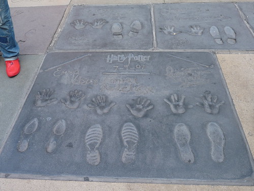 Harry Potter at Mr Mann’s