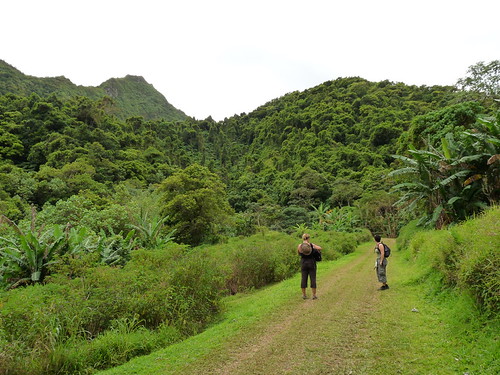 Nice easy tracks to get started on