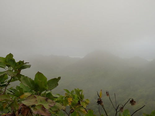 Too cloudy too see much at the top :(