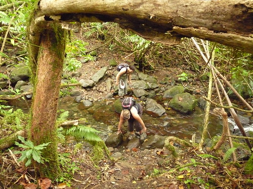 Crossing a stream - again!