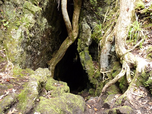 The lava caves