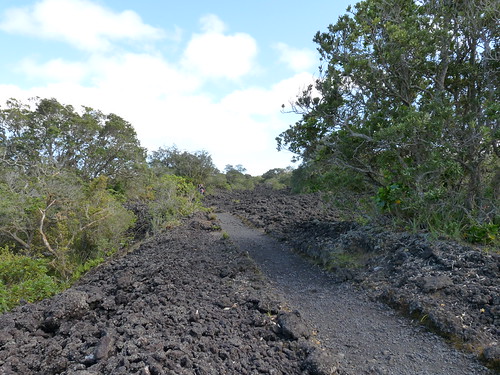 The start of the pathway up Rangitoto
