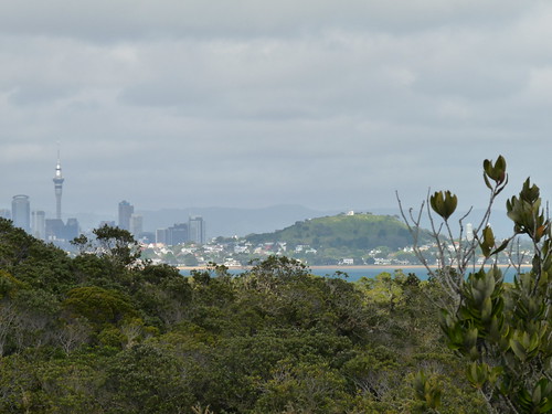 View during the ascent up Rangitoto
