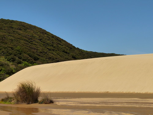 Giant sand dunes at Te Paki Recreation Reserve