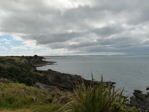 Coastline near the hostel in Henderson Bay