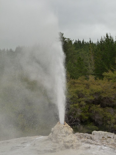 Lady Knox Geyser