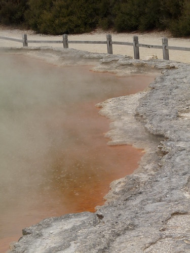 Champagne Pool