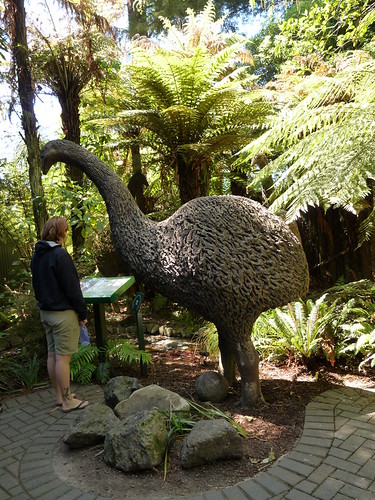 A model of an extinct Moa