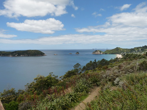 View over Hahei Beach