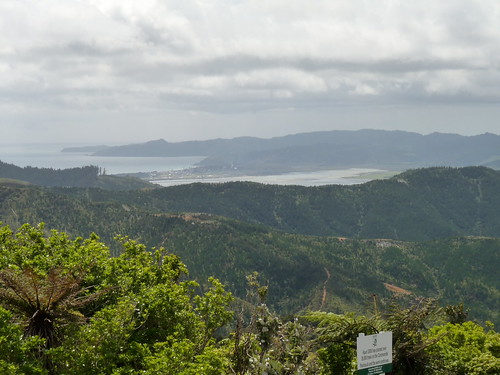 Far north Cormorandal