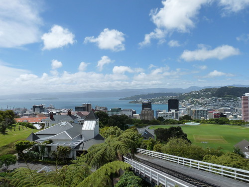 View over the Cable Car and Wellington Harbour