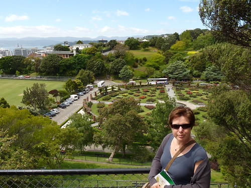 Lady Norwood Rose Garden