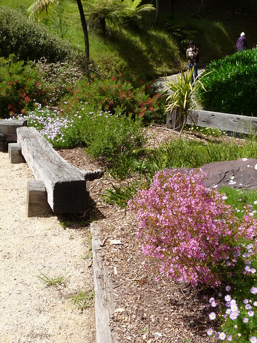 The Australian Garden at the Wellington Botanic Gardens