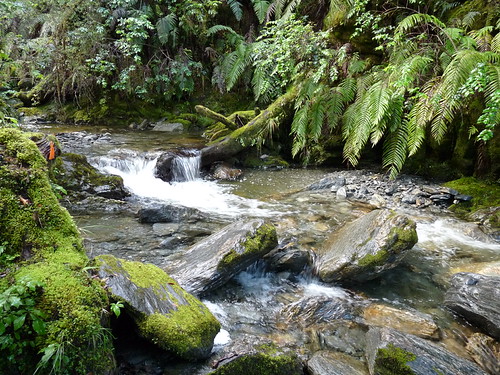 Stream on the way to Roberts Point