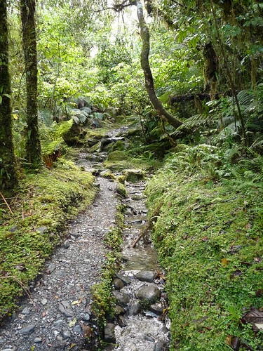 The path to Roberts Point