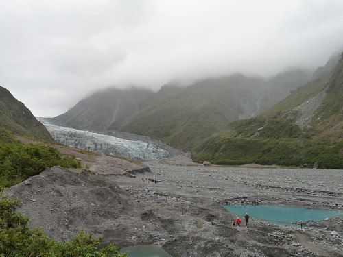 Fox Glacier