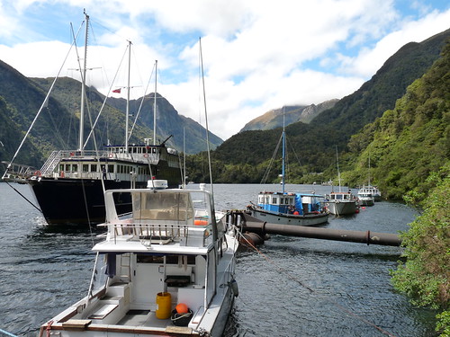 Deep Cove harbour at Doubtful Sound