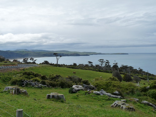 Views from Tautuku Point