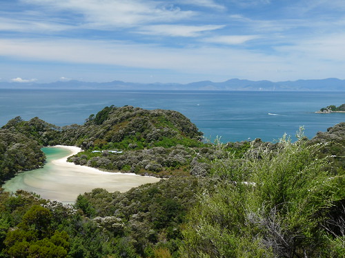 View over a bay on the Abel Tasman walk