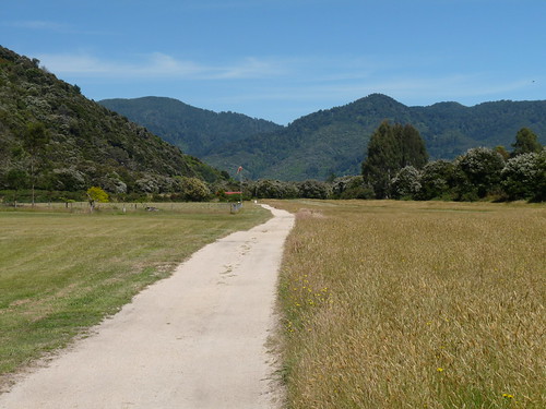 Awaroa landing strip