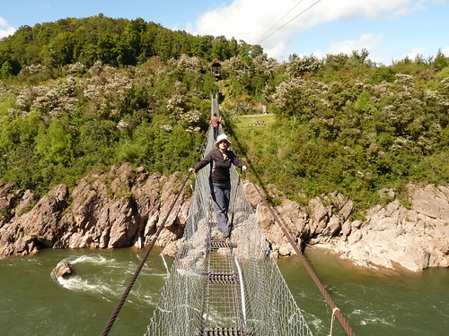 Claire on Buller Gorge swing bridge