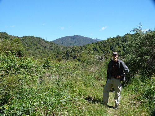 Ed on walk near Buller Gorge