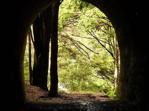 Inside the railway tunnel
