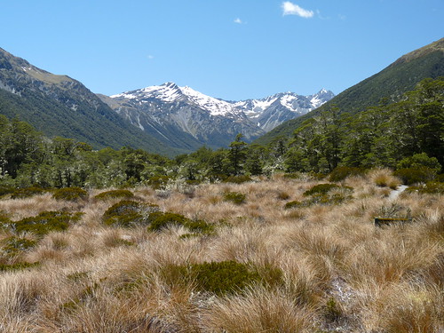 Mountain views at St James Track
