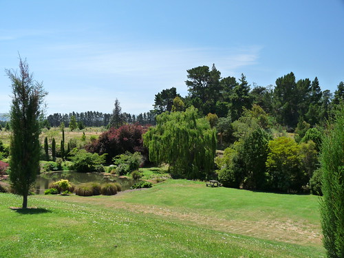 Pegasus Bay Winery Gardens