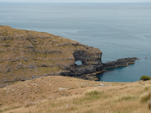 Holey rock at Akaroa Point