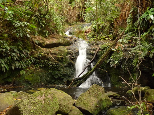 Hinewai falls
