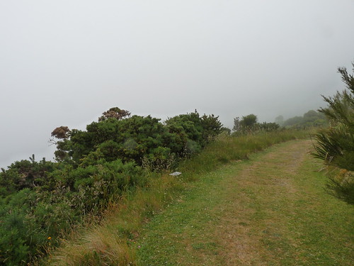 The ‘view’ from the top at Hinewai Park