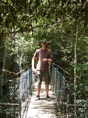 Ed on the tree-top walk