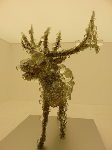 Glass encased moose at GoMA