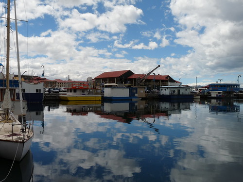 Constitution Dock in Hobart