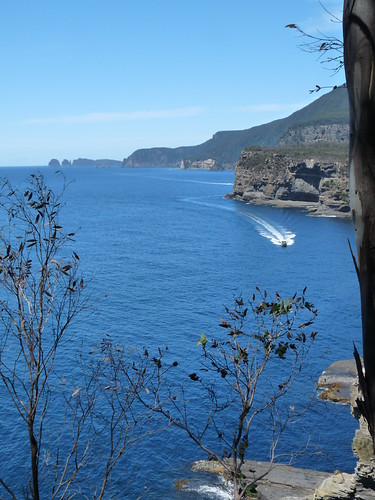 View from the Tasman Arch
