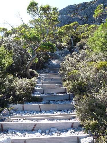The path to Marion’s Lookout