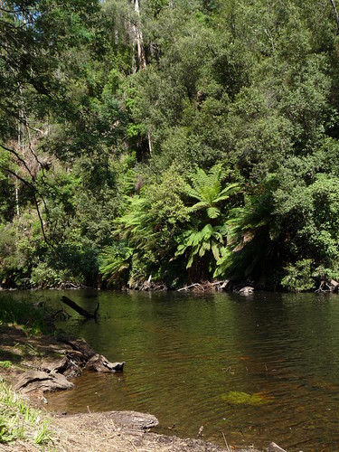 Fernglade Platypus Reserve