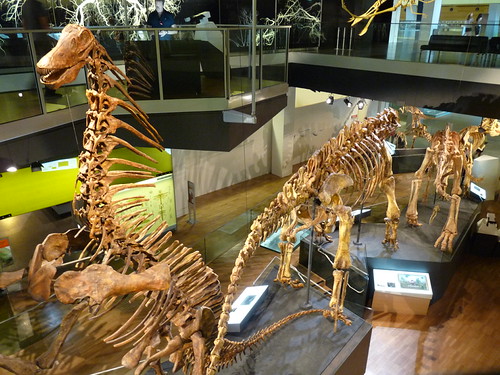 Dinosaurs at the Melbourne Museum