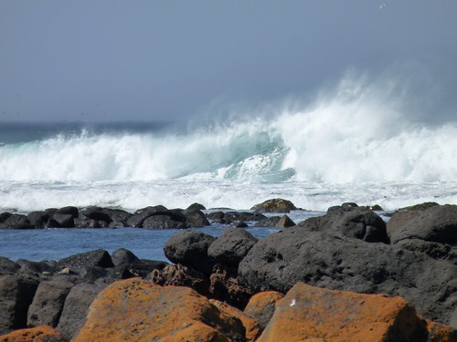 Breaking waves on Griffiths Island, Port Fairy