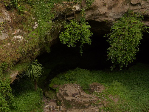 The Cave Garden in Mount Gambier