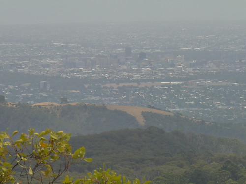 View of Adelaide from Mount Lofty