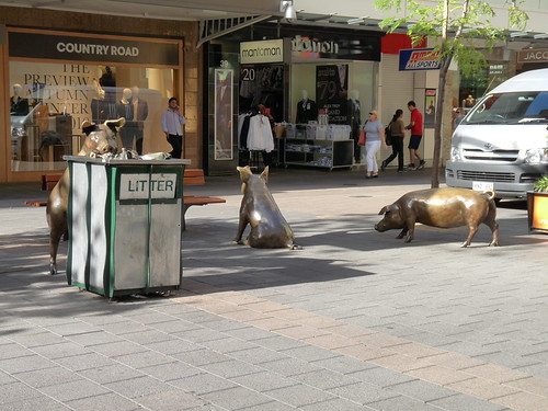 The pigs in Rundle Mall