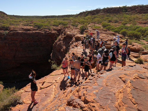 Tour groups at Kings Canyon
