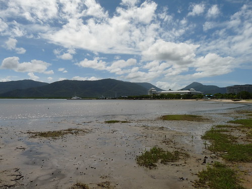 View from Cairns waterfront