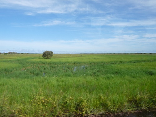 View over the wetlands in Kakadu National Park