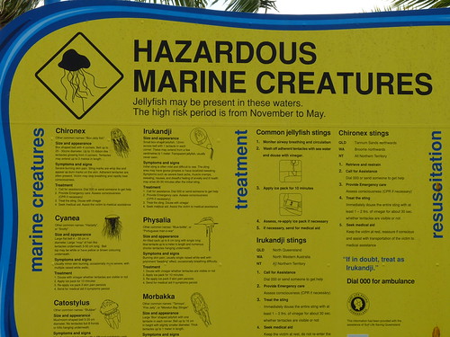 Don’t go in the water!